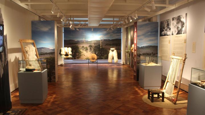 Sala de exposición Temporal, Expocisión Palo Pïque