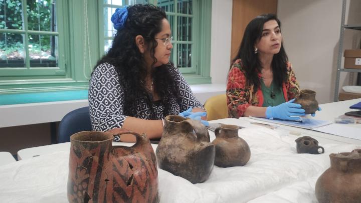 Charla Alina (laboratorio)