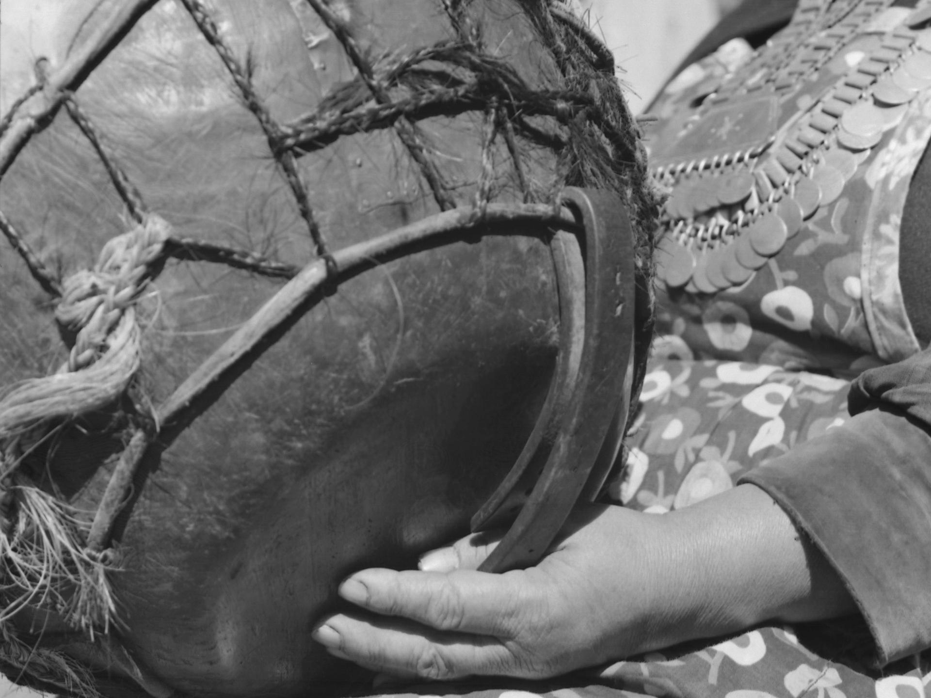 ARMINDO CARDOSO: FOTOGRAFÍAS DE LA ARAUCANÍA 1971-1973