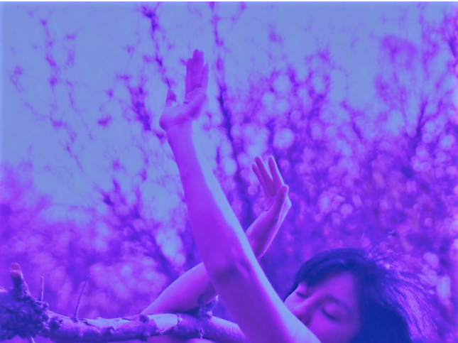 Taller de danzas para mujeres Taller de danzas para mujeres