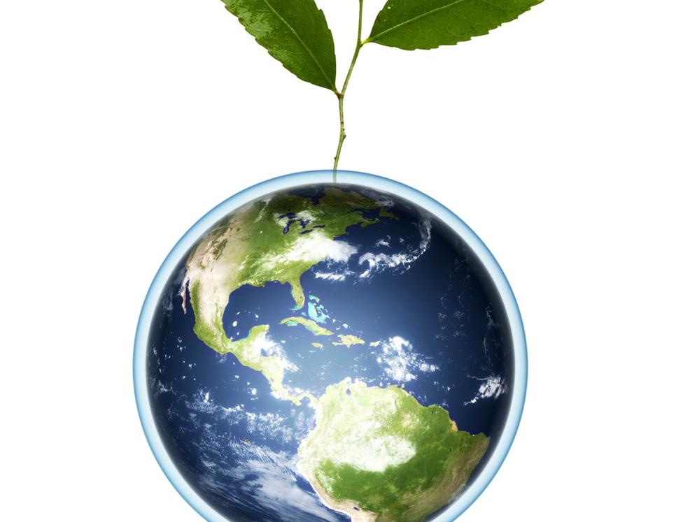sustentabilidad
