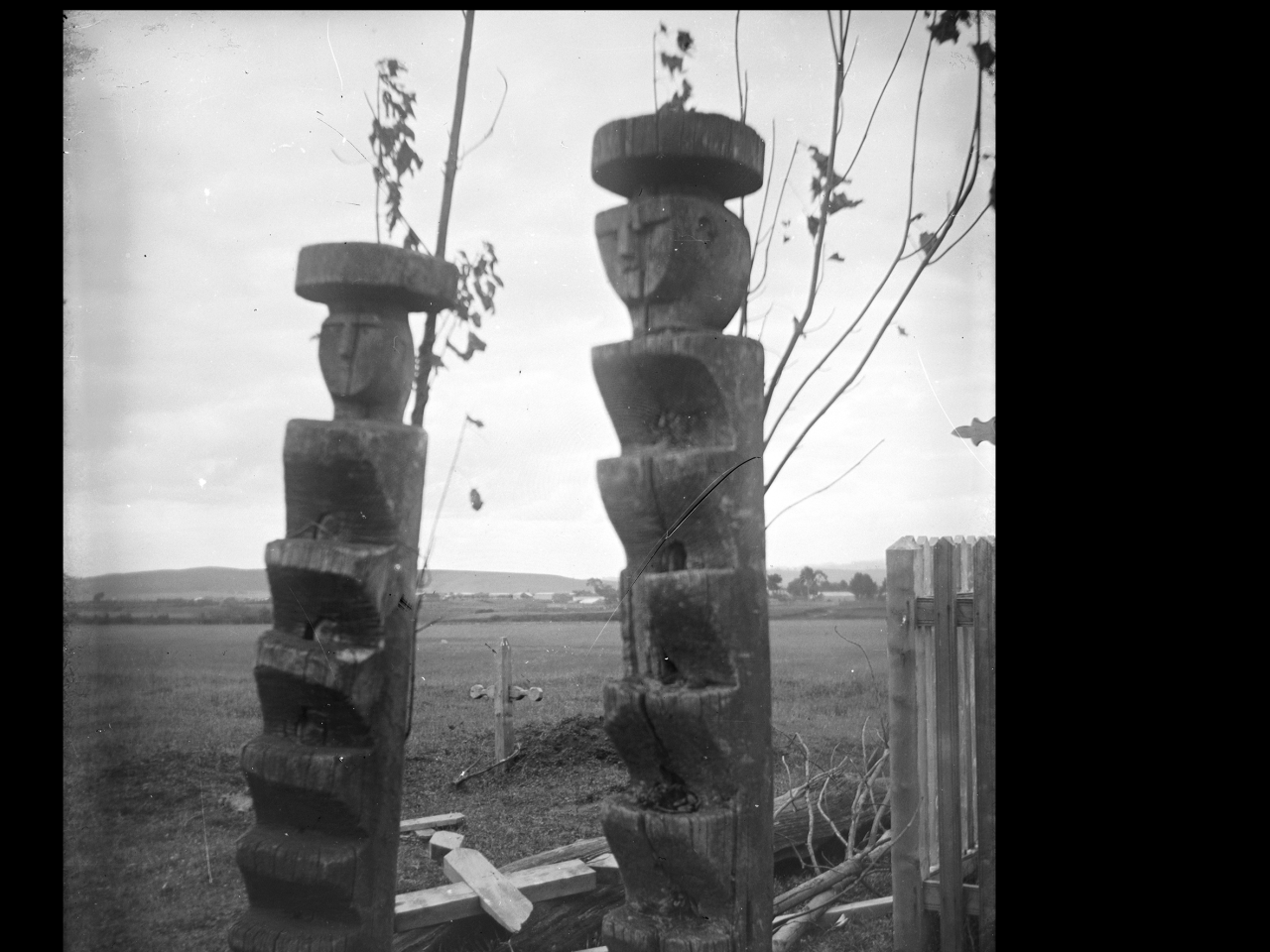 Cementerio mapuche