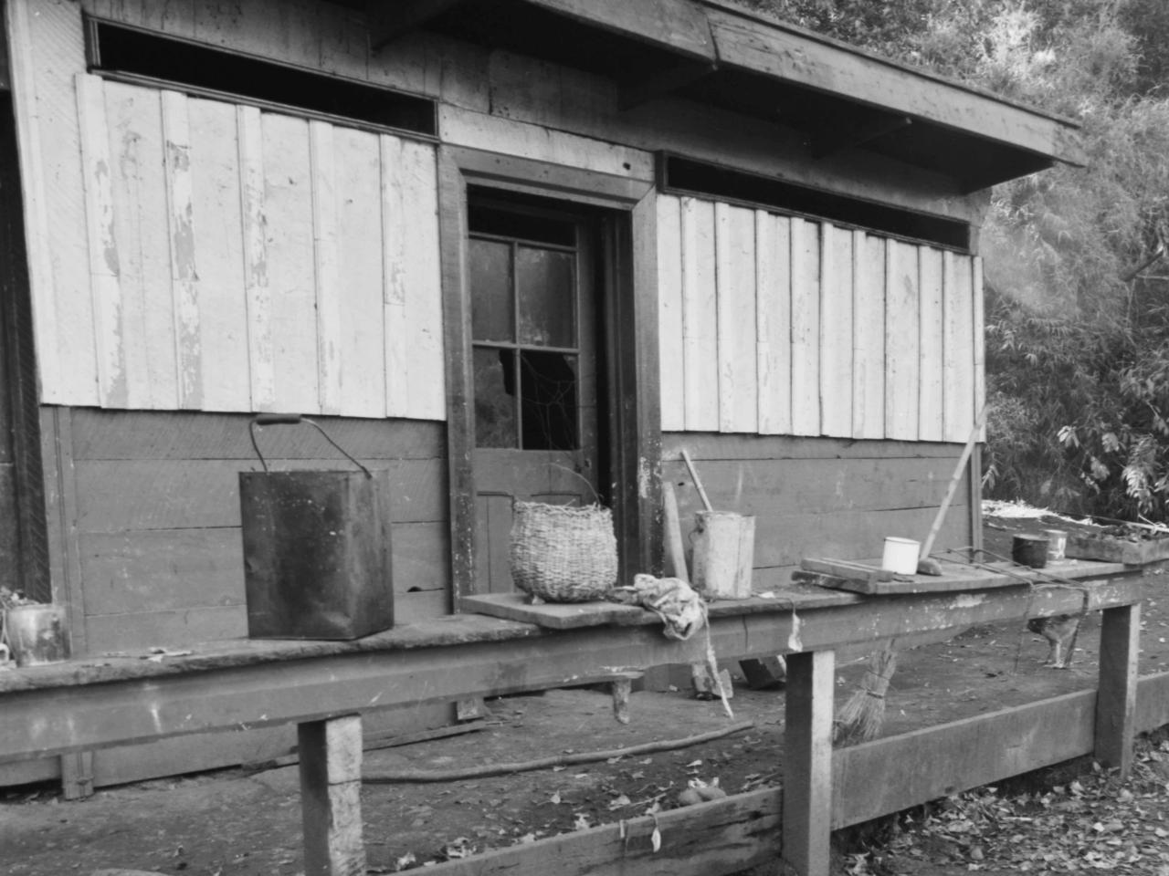 Temuco: Una mujer campesina afuera de su casa alimentando gallinas.