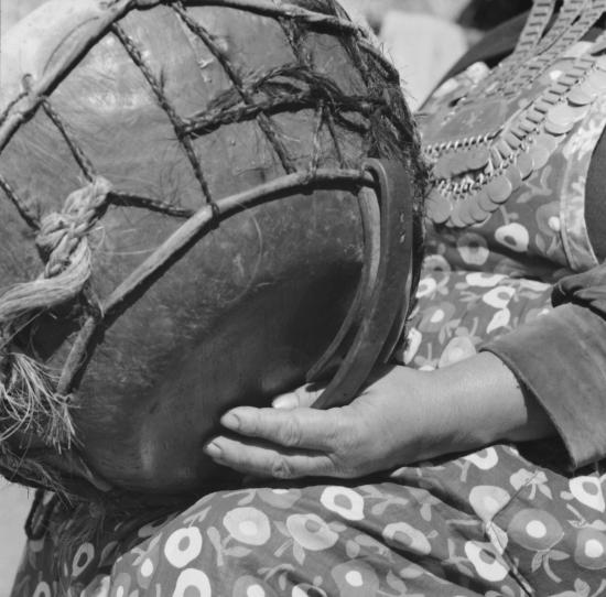 ARMINDO CARDOSO: FOTOGRAFÍAS DE LA ARAUCANÍA 1971-1973