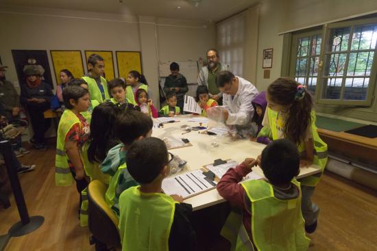 Taller de arqueología para niñ@s