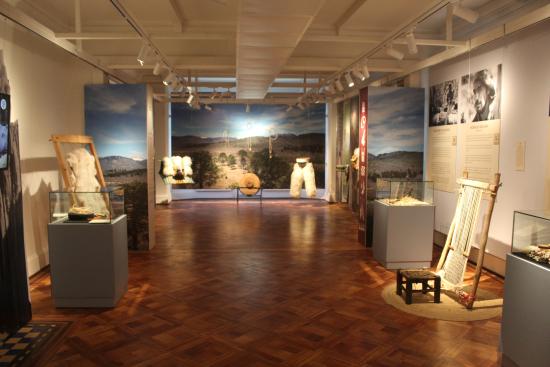 Sala de exposición Temporal, Expocisión Palo Pïque
