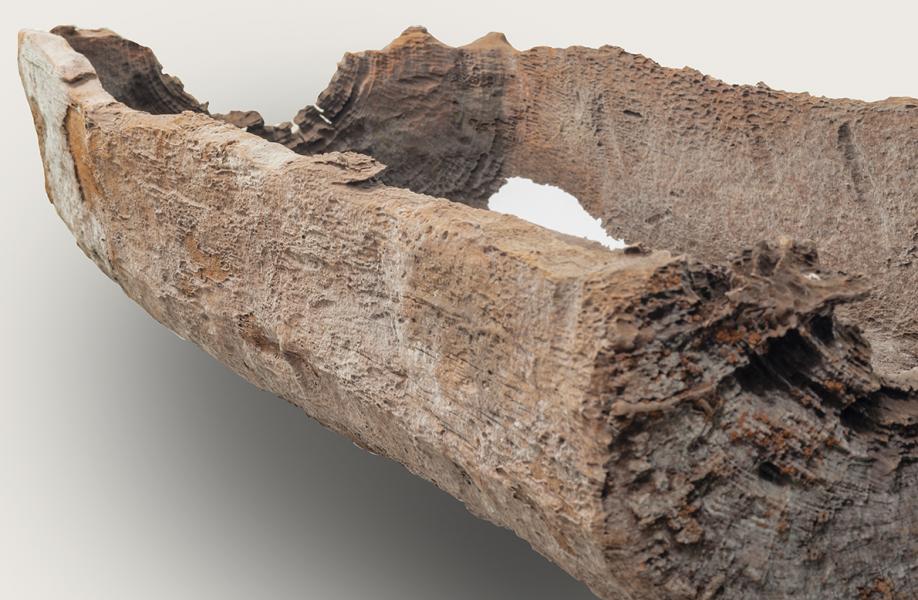 Trolof, vista lateral