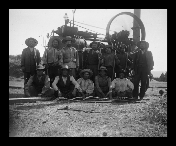 Trabajadores de máquina trillador Trabajadores de máquina trillador