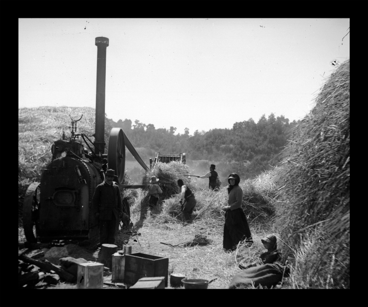 Trilla en los Carrizos (en primer plano se observa a Santiago Núñez y Tránsito Núñez, tío y madre, respectivamente, de Benedicto) Trilla en los Carrizos (en primer plano se observa a Santiago Núñez y Tránsito Núñez, tío y madre, respectivamente, de Benedicto)