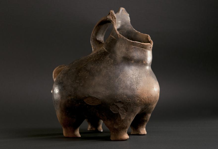 Txewa o Sañwe metawe