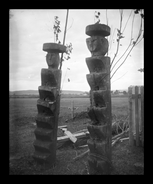 Cementerio mapuche Cementerio mapuche