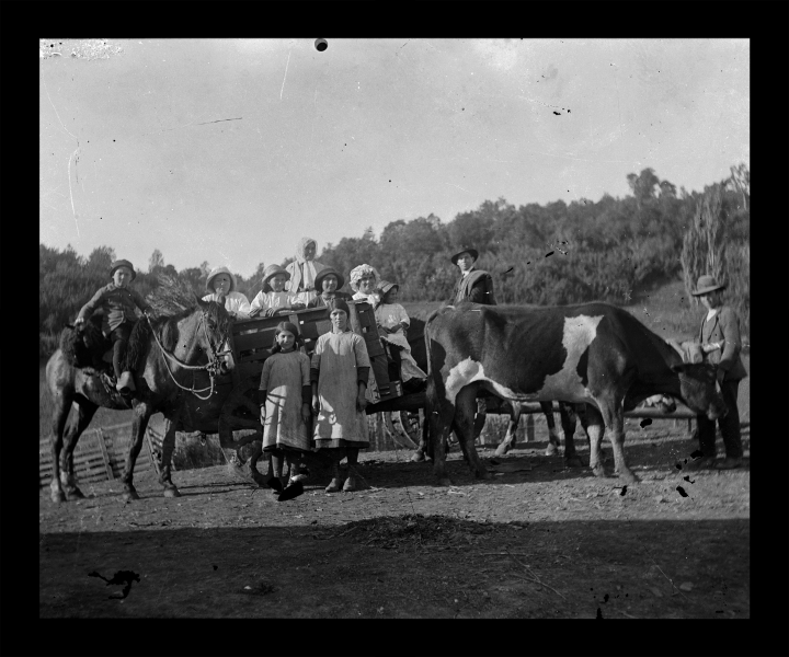 Paseo familia Rivas Paseo familia Rivas