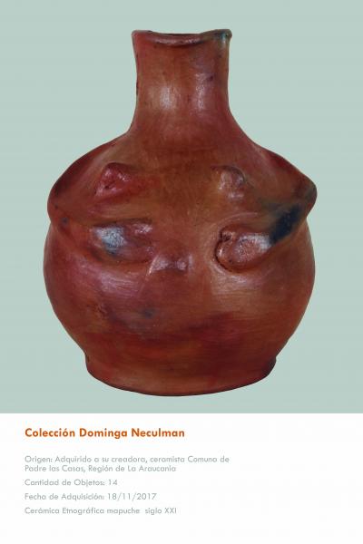 Colección Dominga Neculman Colección Dominga Neculman