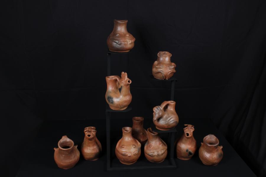 Colección Dominga Neculman