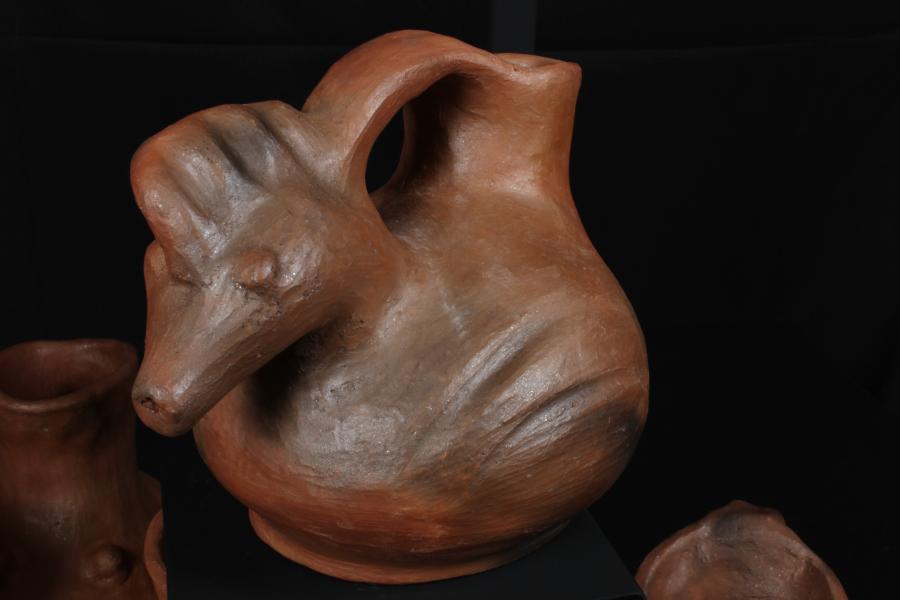 Colección Dominga Neculman