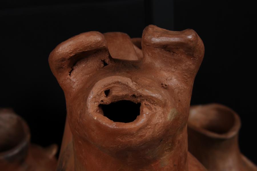 Colección Dominga Neculman