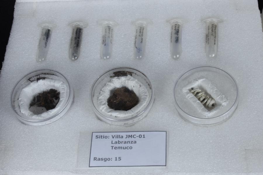 Colección Arqueológica