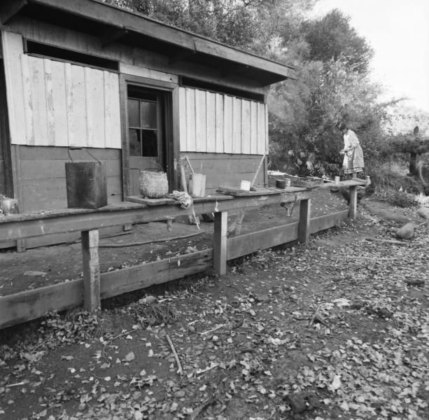Temuco: Una mujer campesina afuera de su casa alimentando gallinas.