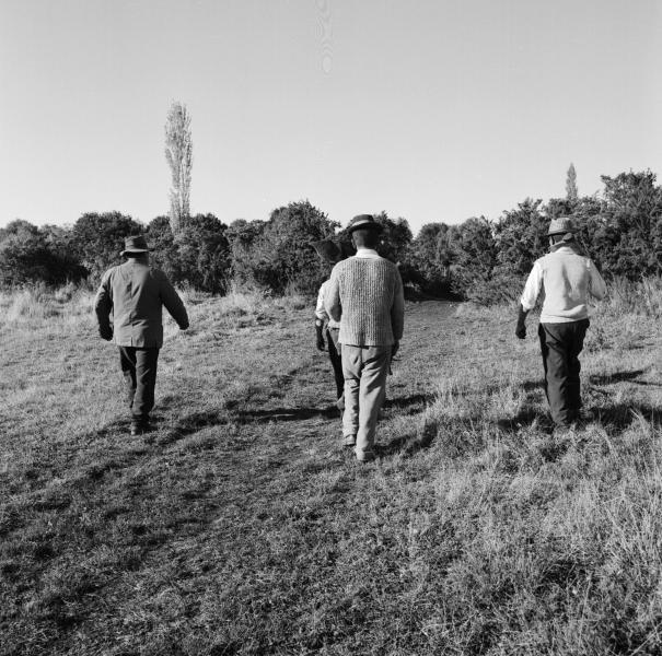 Temuco: Campesinos mapuches trabajando la tierra.