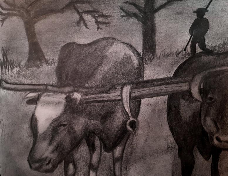 Segundo Lugar Francisco Iriarte Meier Tercer Año Medio Angol