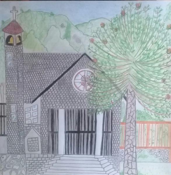 Tercer Lugar		Javiera Paredes Rojas		Sexto Año Básico.	Curarrehue.