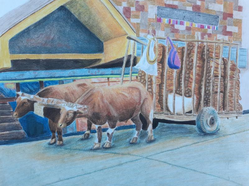 Tercer Lugar Natalia Soza Navarro Segundo Año Medio Angol