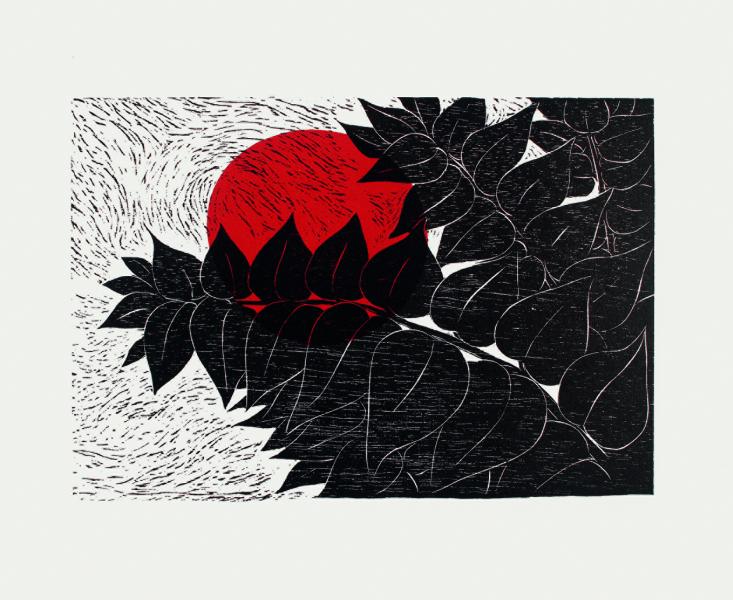 Un nuevo día.1993.1-1.Xilografía. 35.9 x 41.5 cm Un nuevo día.1993.1-1.Xilografía. 35.9 x 41.5 cm